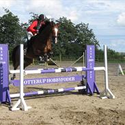 Holstener Valløs Lucky Mary