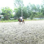 Anden særlig race Whiskey. tidligere part:(