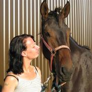 Anden særlig race DV  Wictoria (Solgt)