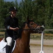 Anden særlig race Flossy (Aflivet)