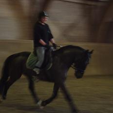 Anden særlig race FIGHTER DIANADO - R.I.P 21 Oktober 2010
