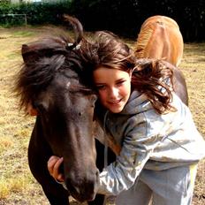 Anden særlig race Pondine