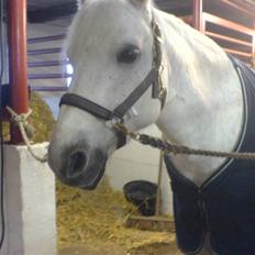 Connemara Skousboe Make My way