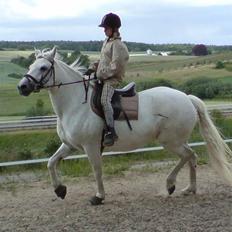Connemara Skousboe Make My way