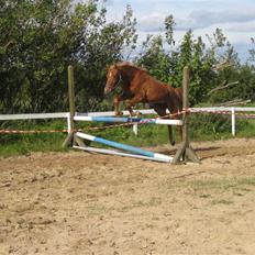 DSP Larsmindes Filanté-SOLGT