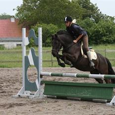 Anden særlig race Lego<3<3(tidl. part)<3<3