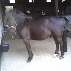 Anden særlig race Lego<3<3(tidl. part)<3<3