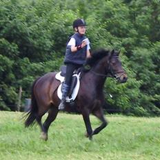 Anden særlig race Jolly RIP <3