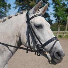 Anden særlig race Miss behaven<3