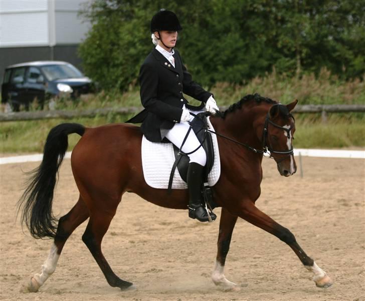 Anden særlig race Magic Don Karnage - Stævne. Foto: Freddy Juhl billede 16