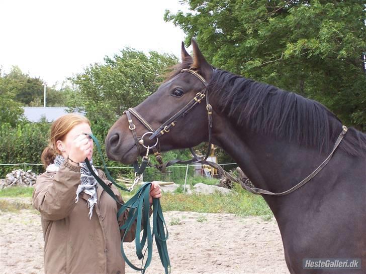 Anden særlig race FIGHTER DIANADO - R.I.P 21 Oktober 2010 - ¤4¤ Fighter: Se hvor lækker jeg er, se mig, se mig Pernille og Sabina. Ægte kærlighed billede 4