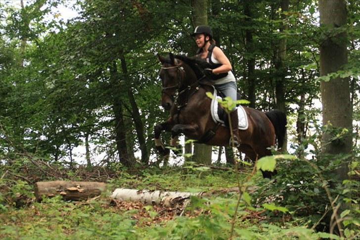 Anden særlig race FIGHTER DIANADO - R.I.P 21 Oktober 2010 - ¤5¤ I terrænet på ridelejr 2009 billede 5