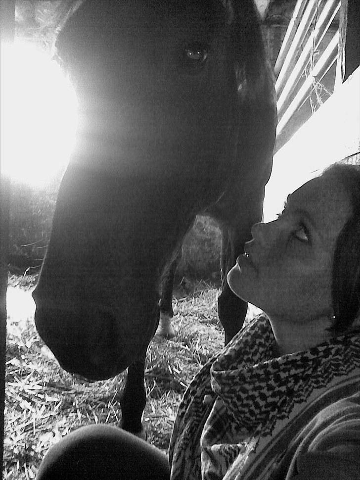 Anden særlig race FIGHTER DIANADO - R.I.P 21 Oktober 2010 - ¤8¤ Jeg elsker dig helt til verdens ende og tilbage igen! <3 billede 8