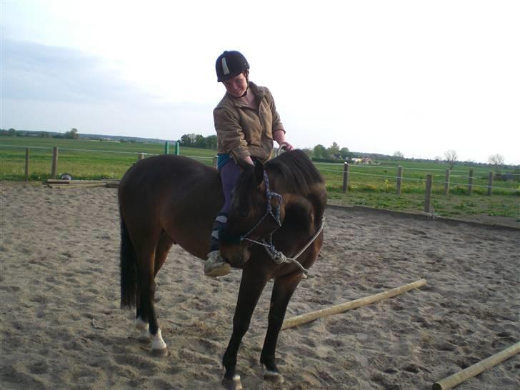 Anden særlig race FIGHTER DIANADO - R.I.P 21 Oktober 2010 - ¤13¤ Første gang med HMS grime fra ryggen (: billede 13