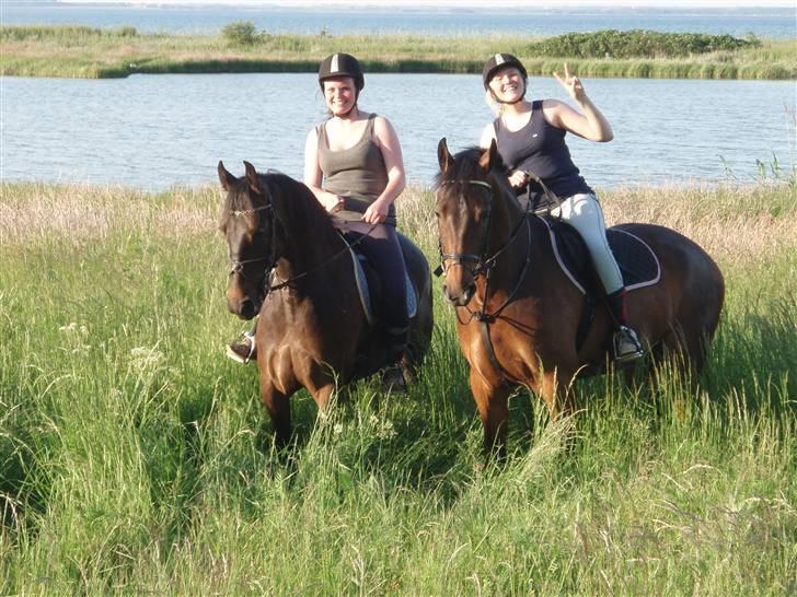 Anden særlig race FIGHTER DIANADO - R.I.P 21 Oktober 2010 - ¤19¤ Badetur sammen med Lillebror Alijando Dianado <3 .. Vi sprang den fedeste kævle den dag!. Ej at glemme denne dag! . <3 billede 19