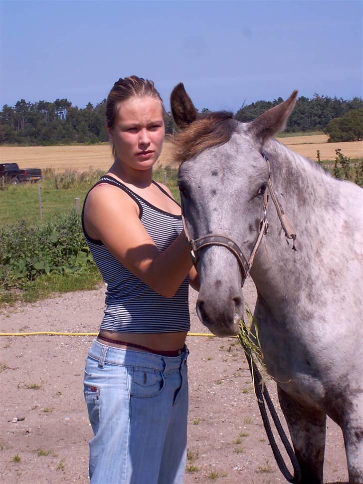 Knabstrupper Malou Aflivet  :'( - Mig og Malou billede 8