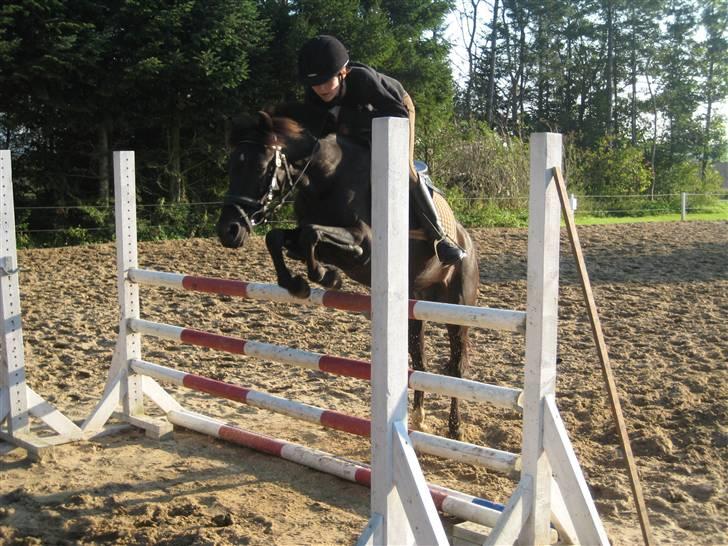 DSP Blackie<3 - Mig og Blackie springer 105 cm. 14/9-08 billede 17