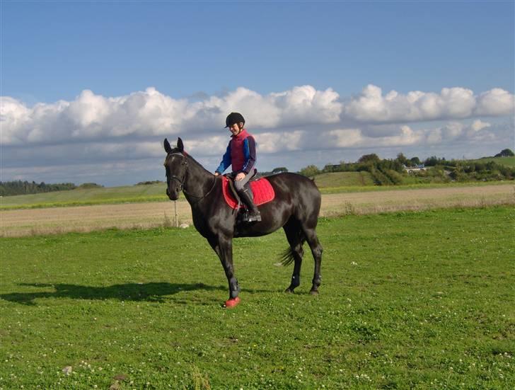 Traver gutta bee # R.I.P # - så går det løs  billede 8