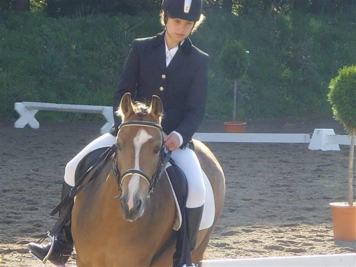 Anden særlig race Diva<3 (Gl.part) SAVNET! - 11. :S haha stævne .. foto: faaarr billede 11