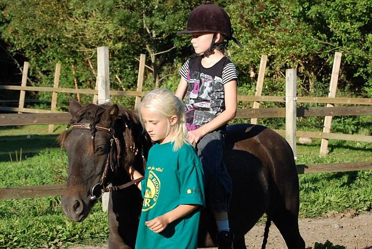 Anden særlig race Pondine - 17) "Some people wait a lifetime for a moment like this, Some people search forever for that one special gift, I cant believe its happening to me, some people wait a liftetime for a moment like this.  " billede 17