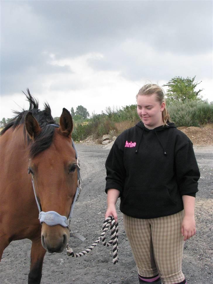 Dansk Varmblod Lobell <3 R.I.P <3 - MÅ IKKE KOPIERES billede 8