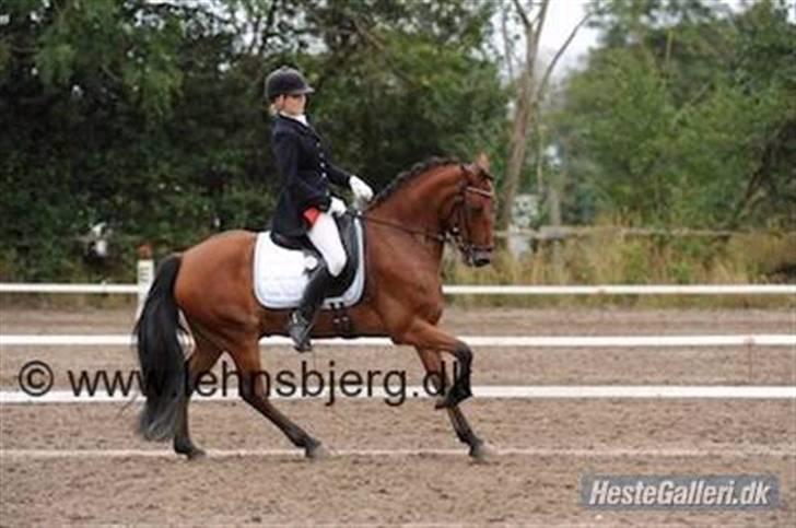 Anden særlig race Magnus DRØMME PONYEN)<3 - jeg elsker dig min pony billede 7