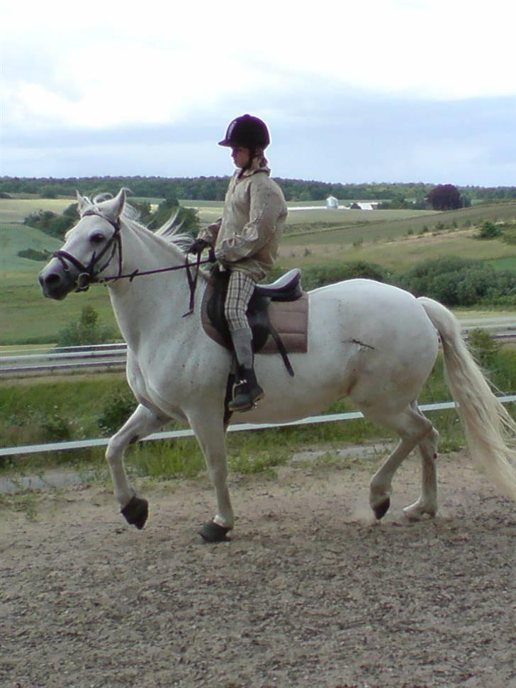 Connemara Skousboe Make My way - Make og Jeg rider dressur på banen :D hehe tag jer ikke af min opstilling , har ikke fået undervisning i lang tiid haha :)  billede 3