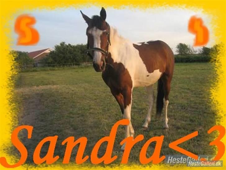 Pinto Sandra  - hej morrrr<3333 billede 1