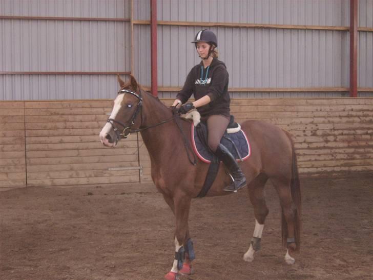 DSP Sejerøs Jackie (udlånt) billede 6