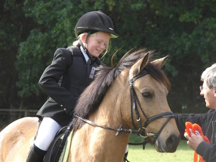 Anden særlig race Løvlunds Prins Valiant - rosetter skal til :) billede 8