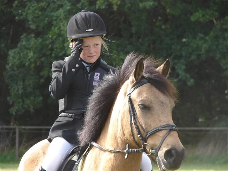 Anden særlig race Løvlunds Prins Valiant - klør lige lidt :):)  billede 9