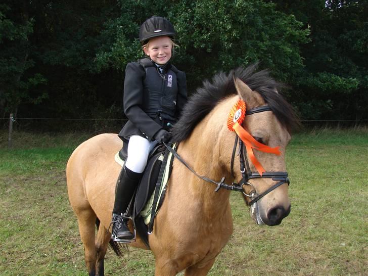 Anden særlig race Løvlunds Prins Valiant - mega mega glad :) billede 11