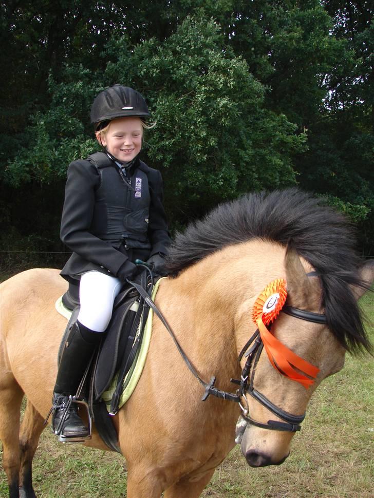 Anden særlig race Løvlunds Prins Valiant - glad og telfres rytter billede 12