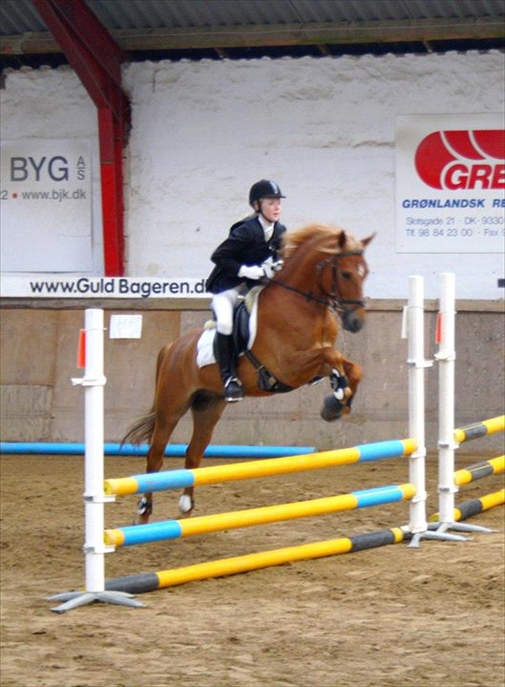 DSP Larsmindes Filanté-SOLGT billede 1