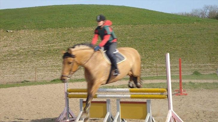 Anden særlig race Miss Juni Univerze SOLGT!! billede 4