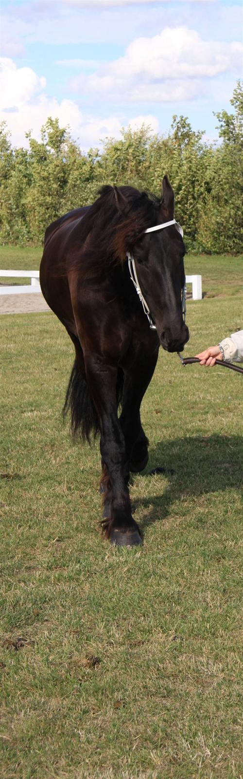 Frieser Hambrugs Othello - <3 billede 9