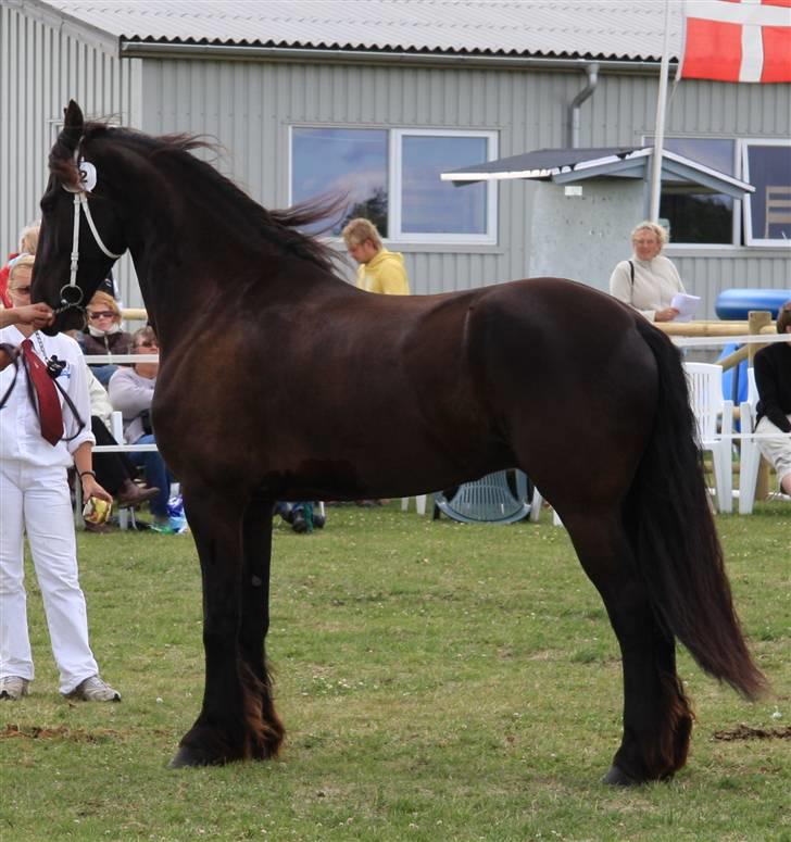 Frieser Hambrugs Othello - <3 billede 11