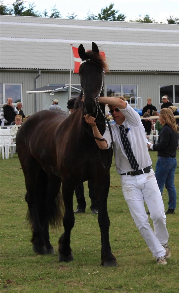 Frieser Hambrugs Othello - <3 billede 12