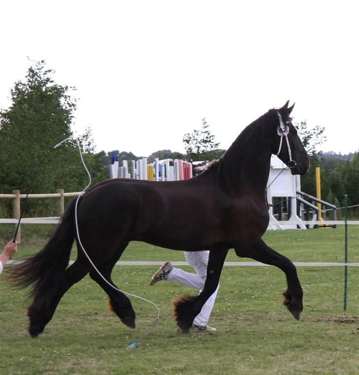 Frieser Hambrugs Othello - <3 billede 13