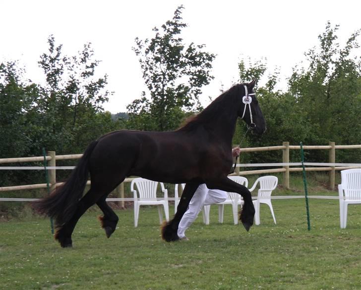 Frieser Hambrugs Othello - <3 billede 15