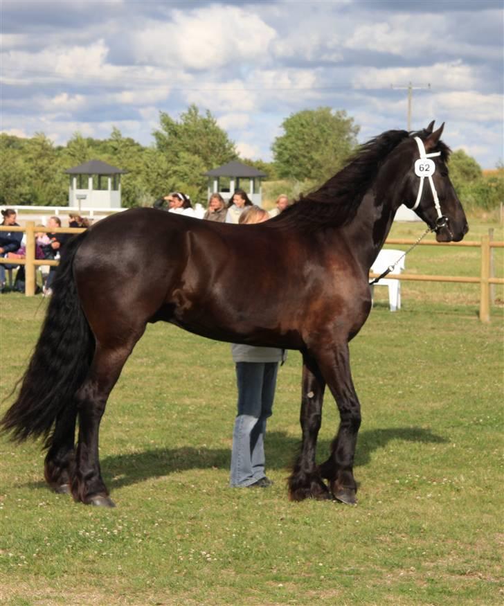 Frieser Hambrugs Othello - <3 billede 16