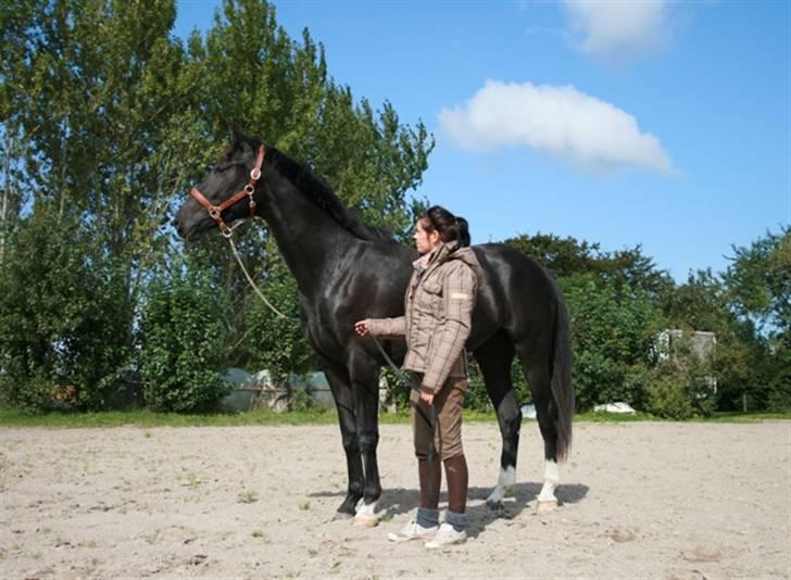 Oldenborg Damshauges Ferrai - R.I.P. billede 11