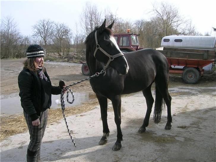 Anden særlig race Mandalay R.i.p miss you - venskabet startede der, vi ses igen en dag <3 billede 18