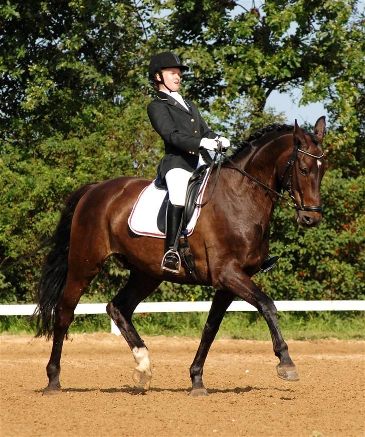 Holstener Corano - Finale i SJM for juniorer - LA4 (: Taget af Lehnsbjerg Foto, redigeret af Malene Pedersen (: billede 1