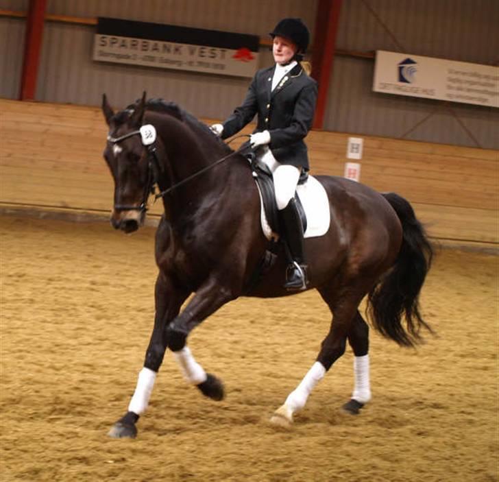 Holstener Corano - C-stævne i EOR d. 8/3 08 - LA1 billede 7