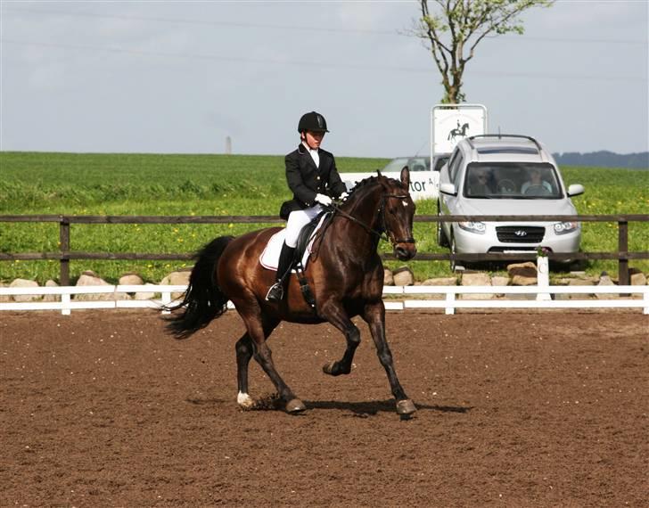 Holstener Corano - LA4 i RISK d. 9/5 09 - taget af Nina (Schmølz) billede 12