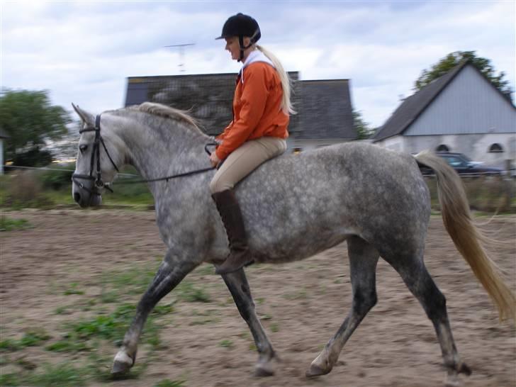 Cruzado Tira billede 14