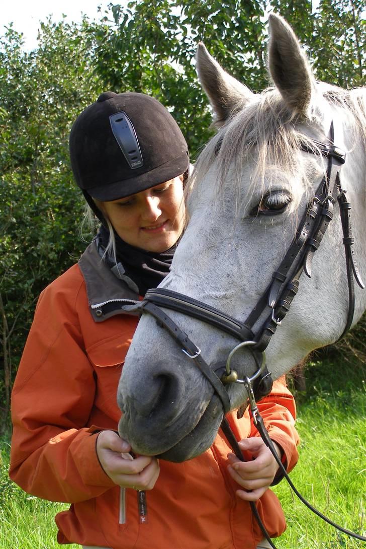 Cruzado Tira billede 17