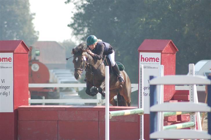 Anden særlig race Daisy RIP billede 1