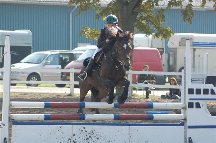 Anden særlig race Daisy RIP billede 7